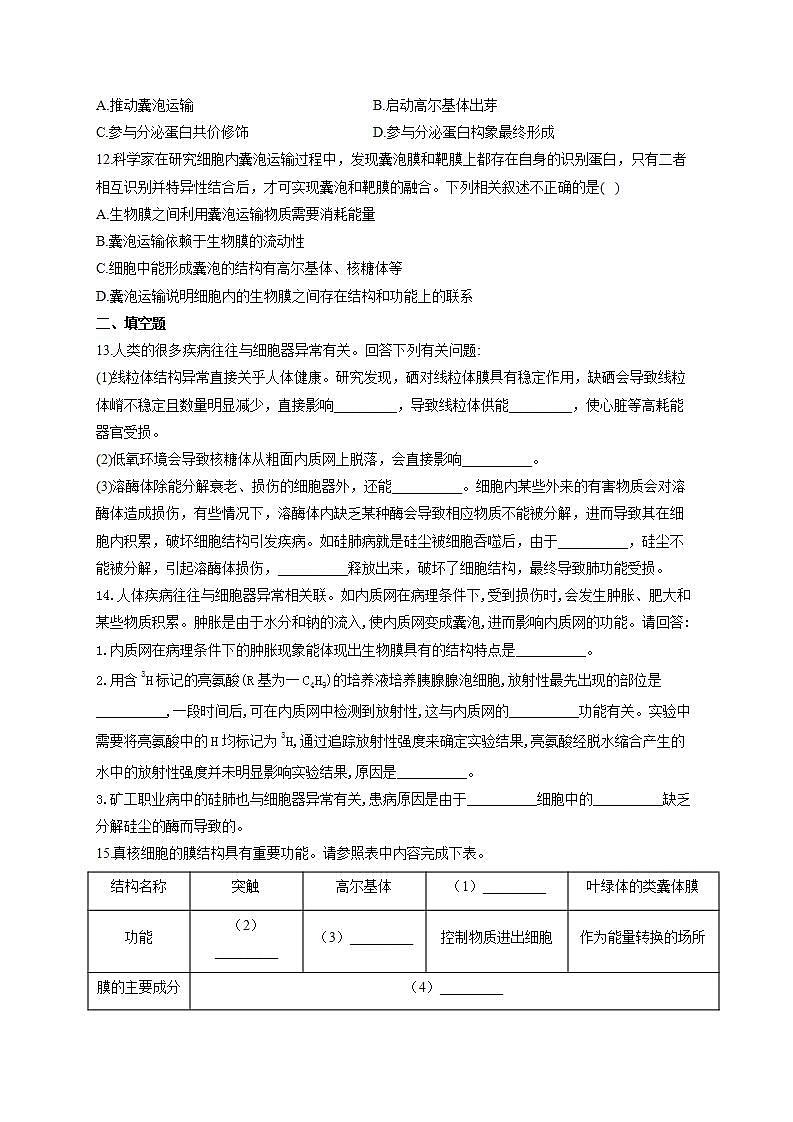 【新教材】2022届高考生物一轮复习同步检测：第二单元 细胞的基本结构和物质的运输 第05讲 细胞器和生物膜系统 能力提升A卷03