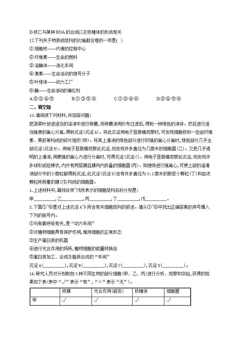 【新教材】2022届高考生物一轮复习同步检测：第二单元 细胞的基本结构和物质的运输 第05讲 细胞器和生物膜系统 能力提升B卷03