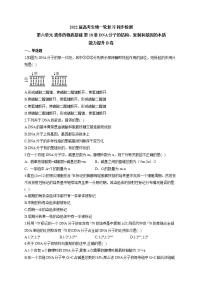 【新教材】2022届高考生物一轮复习同步检测：第六单元 遗传的物质基础 第18讲 DNA分子的结构、复制和基因的本质 能力提升B卷