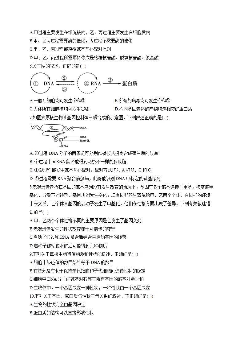 【新教材】2022届高考生物一轮复习同步检测：第六单元 遗传的物质基础 第19讲 基因的表达 基础训练B卷第2页