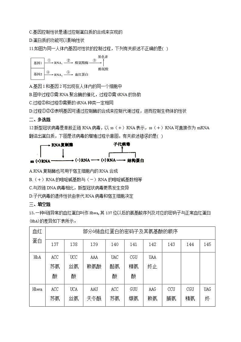【新教材】2022届高考生物一轮复习同步检测：第六单元 遗传的物质基础 第19讲 基因的表达 基础训练B卷第3页