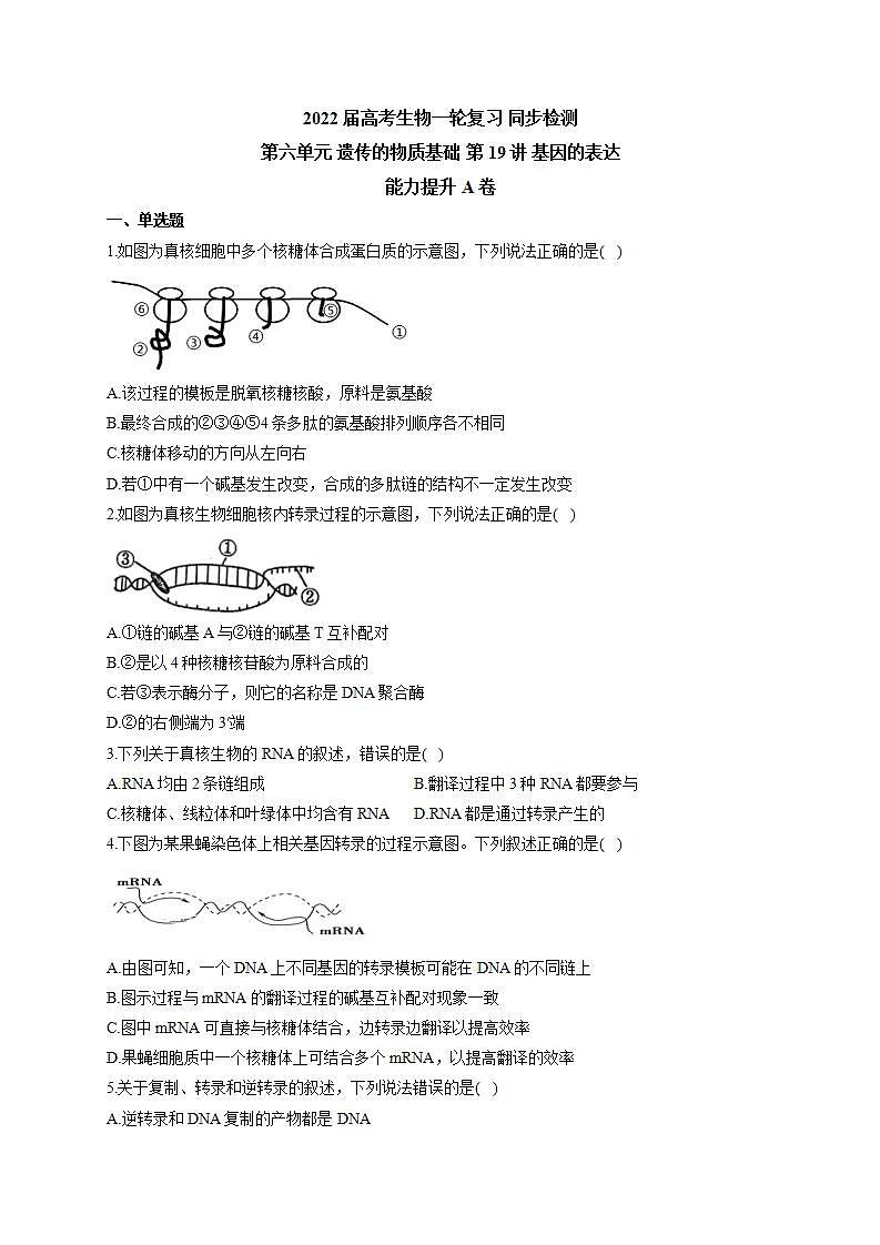 【新教材】2022届高考生物一轮复习同步检测：第六单元 遗传的物质基础 第19讲 基因的表达 能力提升A卷01