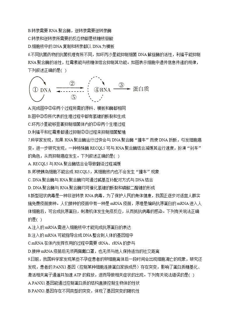 【新教材】2022届高考生物一轮复习同步检测：第六单元 遗传的物质基础 第19讲 基因的表达 能力提升A卷02