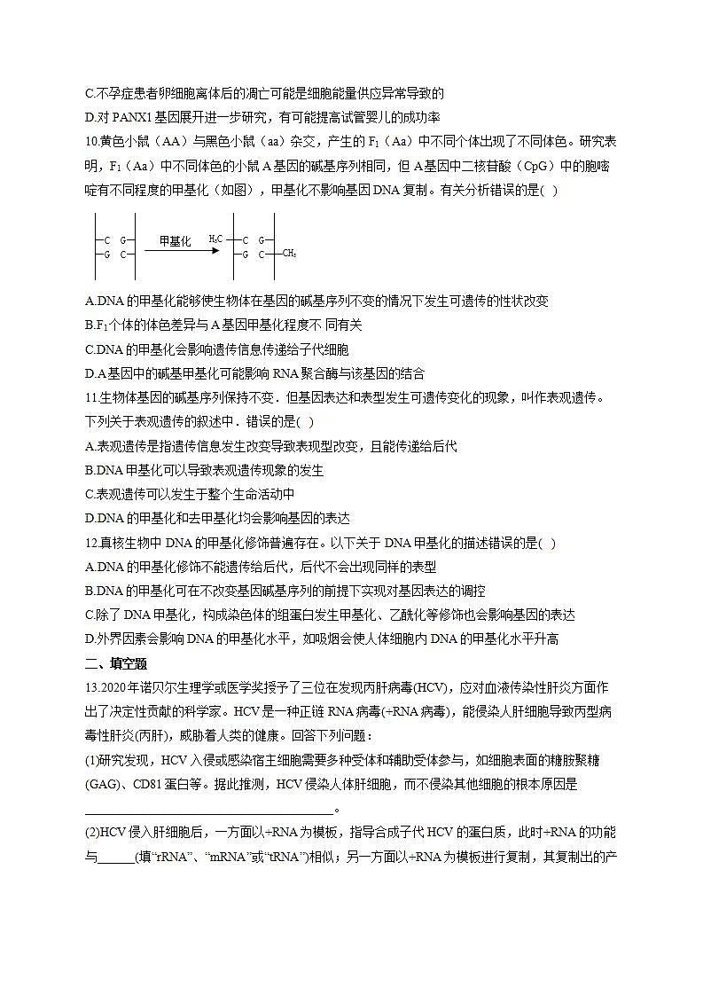 【新教材】2022届高考生物一轮复习同步检测：第六单元 遗传的物质基础 第19讲 基因的表达 能力提升A卷03