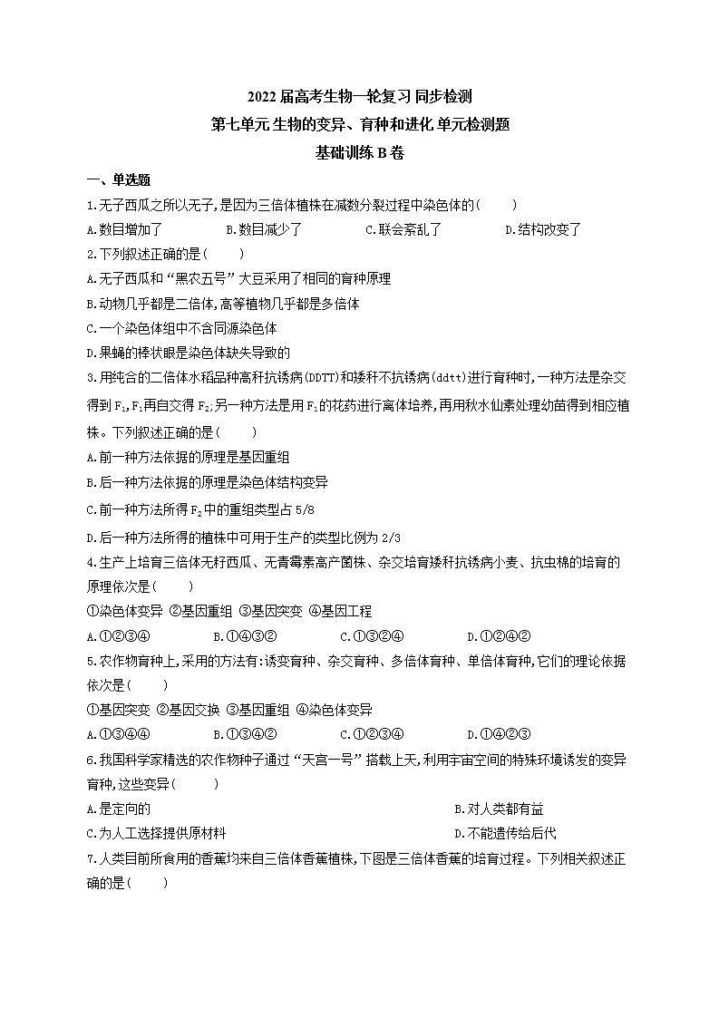 【新教材】2022届高考生物一轮复习同步检测：第七单元 生物的变异、育种和进化 单元检测题 基础训练B卷01