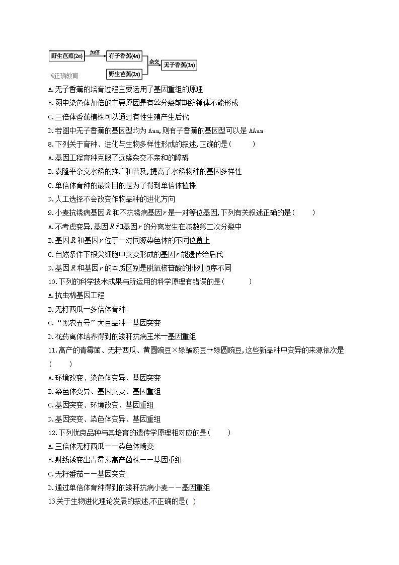 【新教材】2022届高考生物一轮复习同步检测：第七单元 生物的变异、育种和进化 单元检测题 基础训练B卷02
