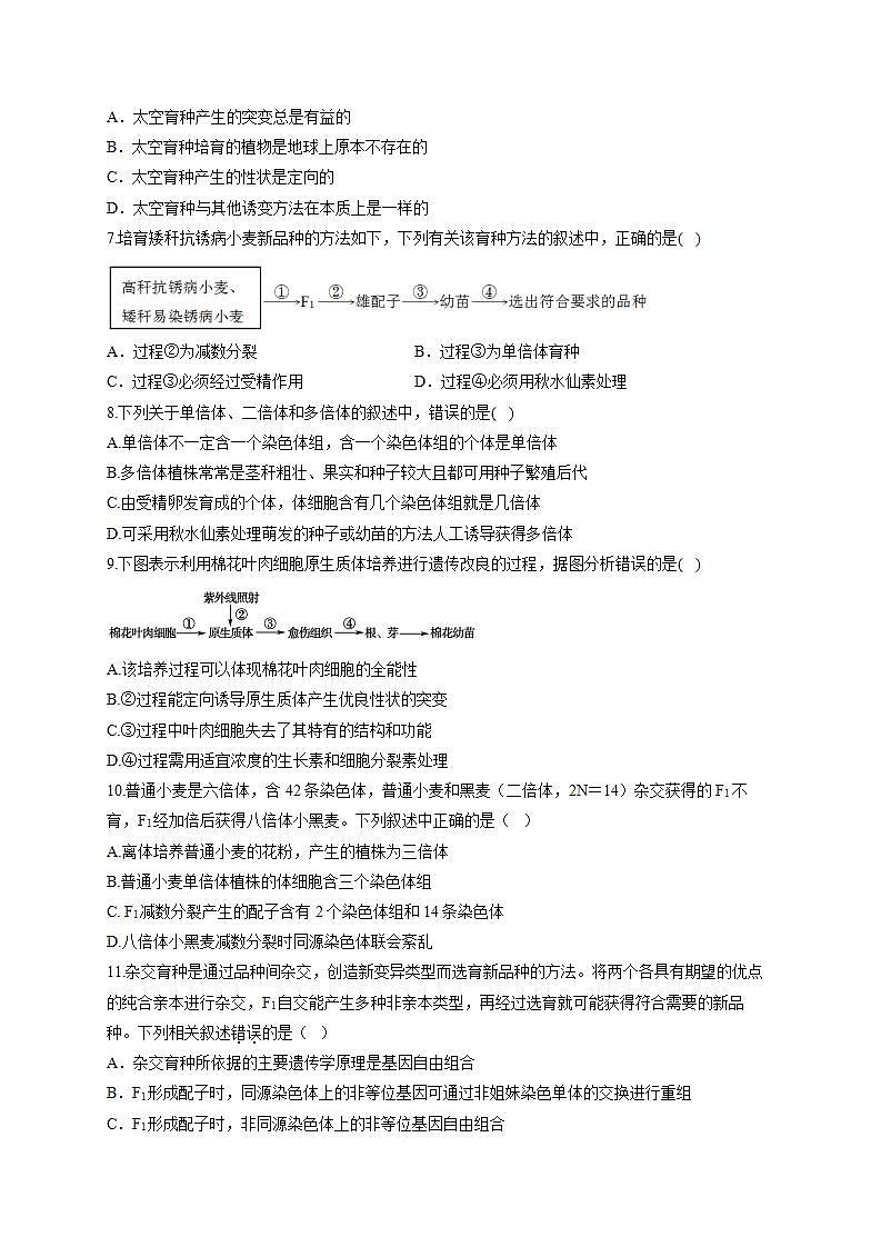 【新教材】2022届高考生物一轮复习同步检测：第七单元 生物的变异、育种和进化 第22讲 生物的育种 能力提升B卷02
