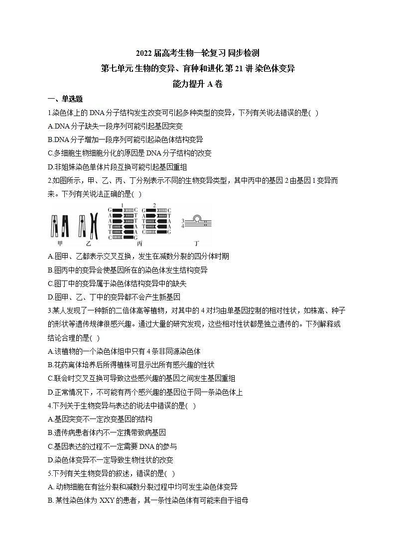 【新教材】2022届高考生物一轮复习同步检测：第七单元 生物的变异、育种和进化 第21讲 染色体变异 能力提升A卷01