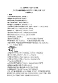 【新教材】2022届高考生物一轮复习同步检测：第三单元 细胞的能量供应和利用 第07讲 酶和ATP 第1课时 基础训练B卷