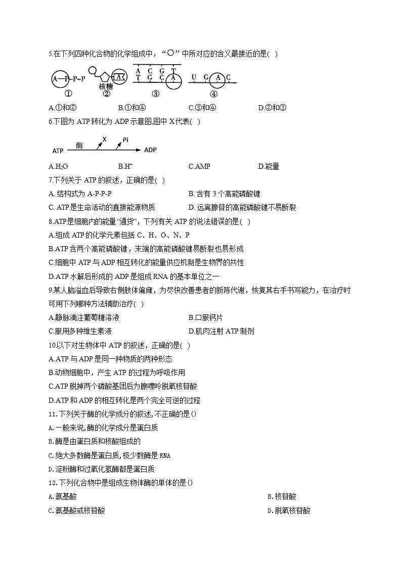 【新教材】2022届高考生物一轮复习同步检测：第三单元 细胞的能量供应和利用 第07讲 酶和ATP 第2课时 基础训练A卷第2页