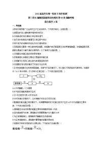 【新教材】2022届高考生物一轮复习同步检测：第三单元 细胞的能量供应和利用 第08讲 细胞呼吸 能力提升A卷