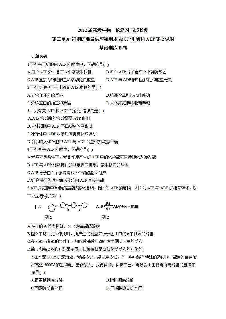 【新教材】2022届高考生物一轮复习同步检测：第三单元 细胞的能量供应和利用 第07讲 酶和ATP 第2课时 基础训练B卷第1页