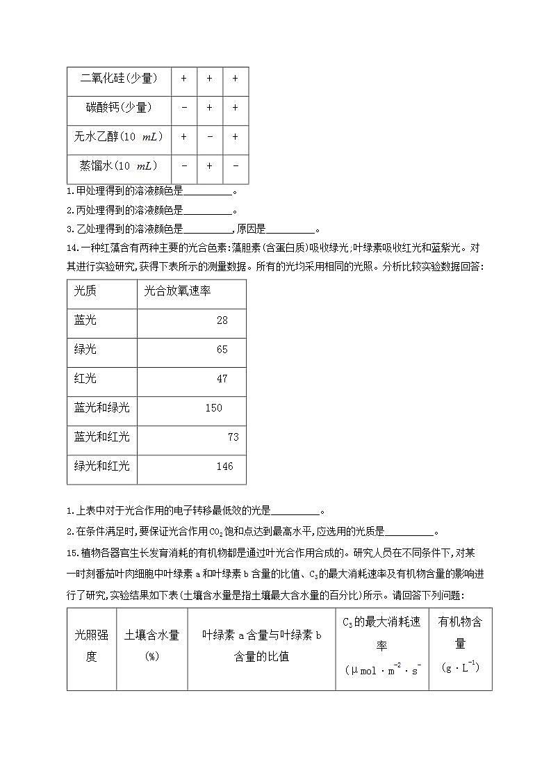 【新教材】2022届高考生物一轮复习同步检测：第三单元 细胞的能量供应和利用 第09讲 光合作用 第1课时 基础训练B卷第3页