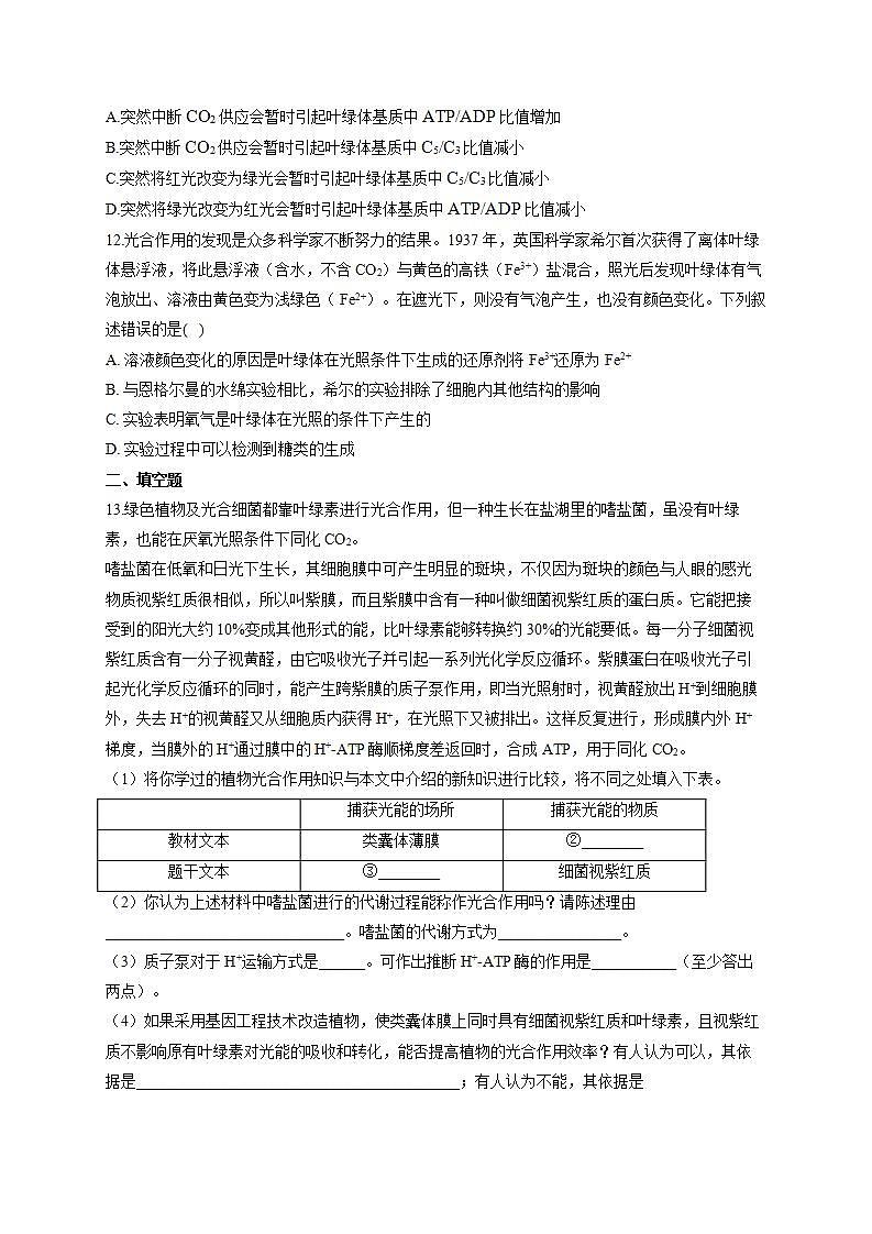 【新教材】2022届高考生物一轮复习同步检测：第三单元 细胞的能量供应和利用 第09讲 光合作用 第2课时 能力提升B卷第3页