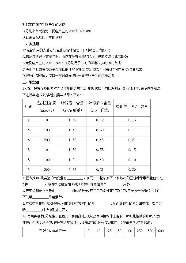 【新教材】2022届高考生物一轮复习同步检测：第三单元 细胞的能量供应和利用 第09讲 光合作用 第2课时 基础训练B卷第3页