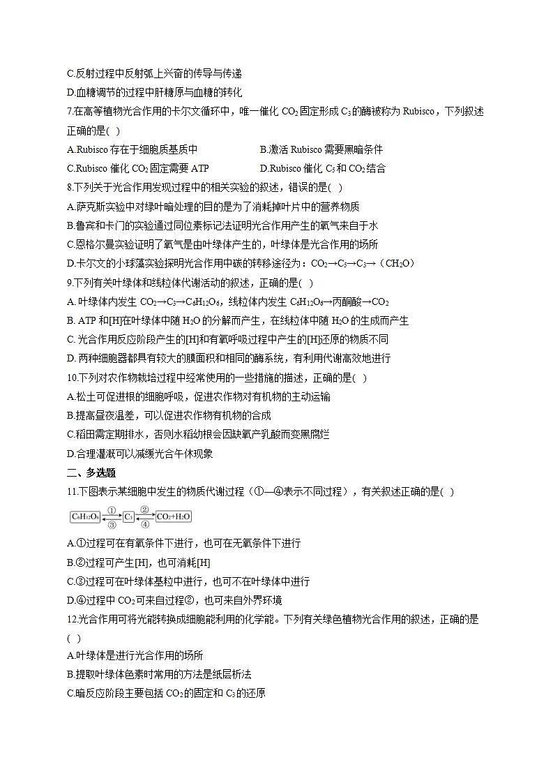 【新教材】2022届高考生物一轮复习同步检测：第三单元 细胞的能量供应和利用 第09讲 光合作用 第2课时 基础训练A卷第2页