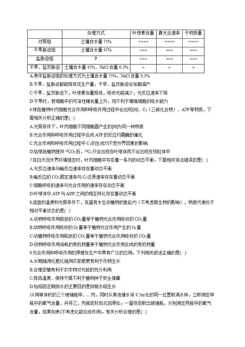 【新教材】2022届高考生物一轮复习同步检测：第三单元 细胞的能量供应和利用 第10讲 细胞呼吸与光合作用综合应用 能力提升A卷02