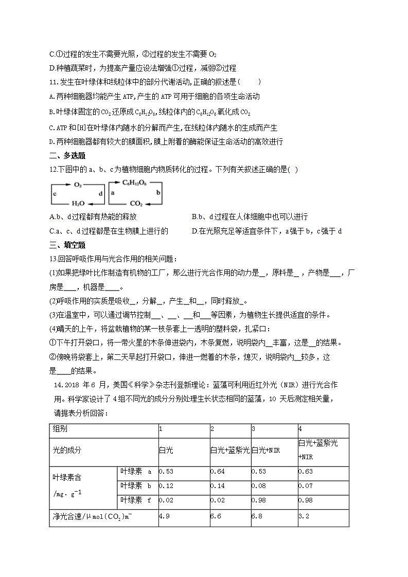 【新教材】2022届高考生物一轮复习同步检测：第三单元 细胞的能量供应和利用 第10讲 细胞呼吸与光合作用综合应用 基础训练B卷第3页