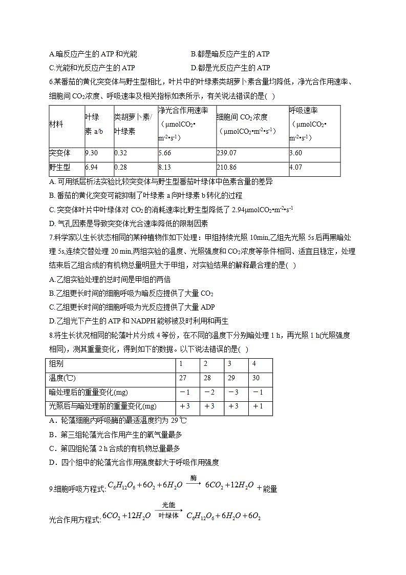 【新教材】2022届高考生物一轮复习同步检测：第三单元 细胞的能量供应和利用 第10讲 细胞呼吸与光合作用综合应用 能力提升B卷第2页