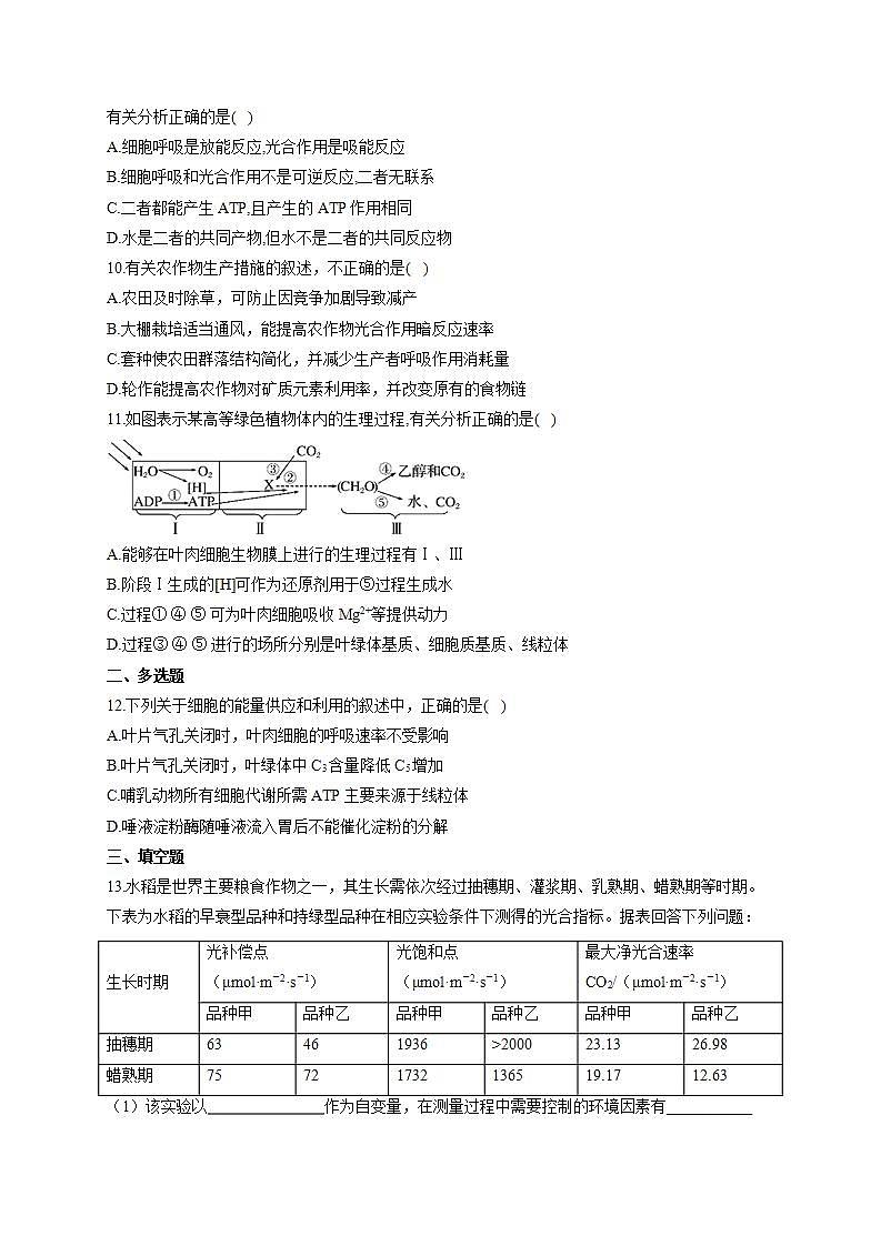 【新教材】2022届高考生物一轮复习同步检测：第三单元 细胞的能量供应和利用 第10讲 细胞呼吸与光合作用综合应用 能力提升B卷第3页