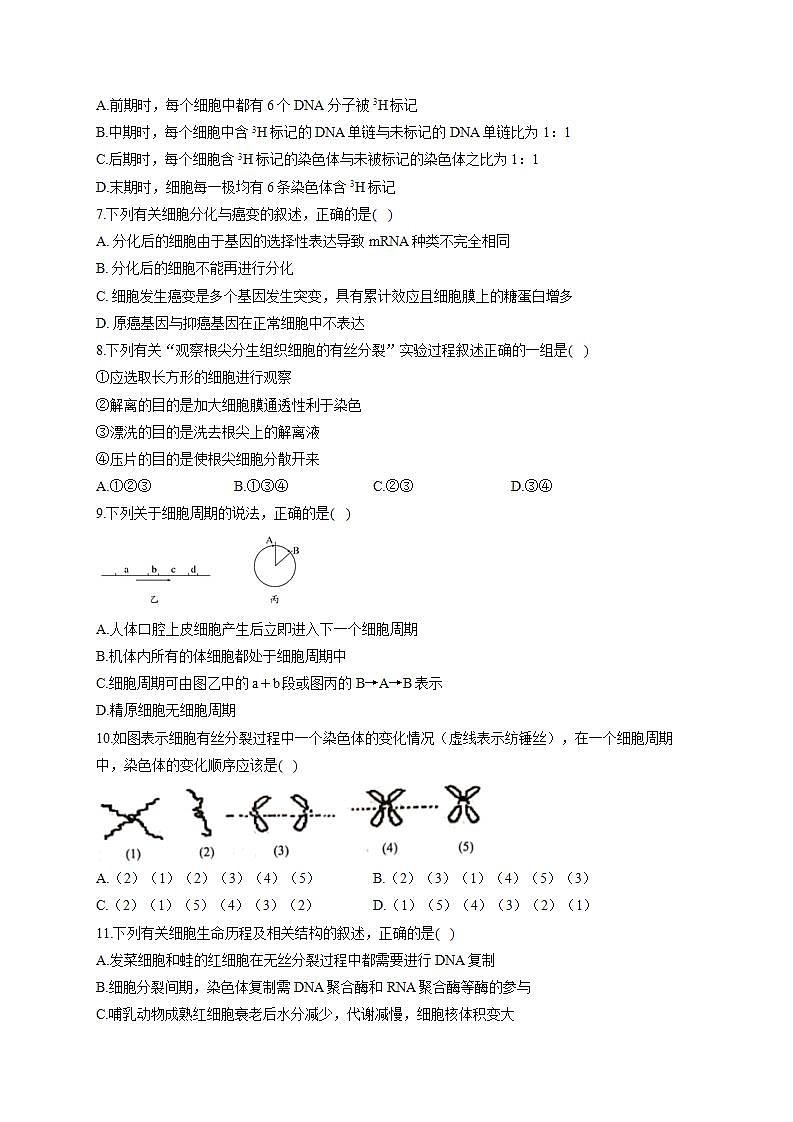 【新教材】2022届高考生物一轮复习同步检测：第四单元 细胞的生命历程 单元检测题 能力提升A卷第2页