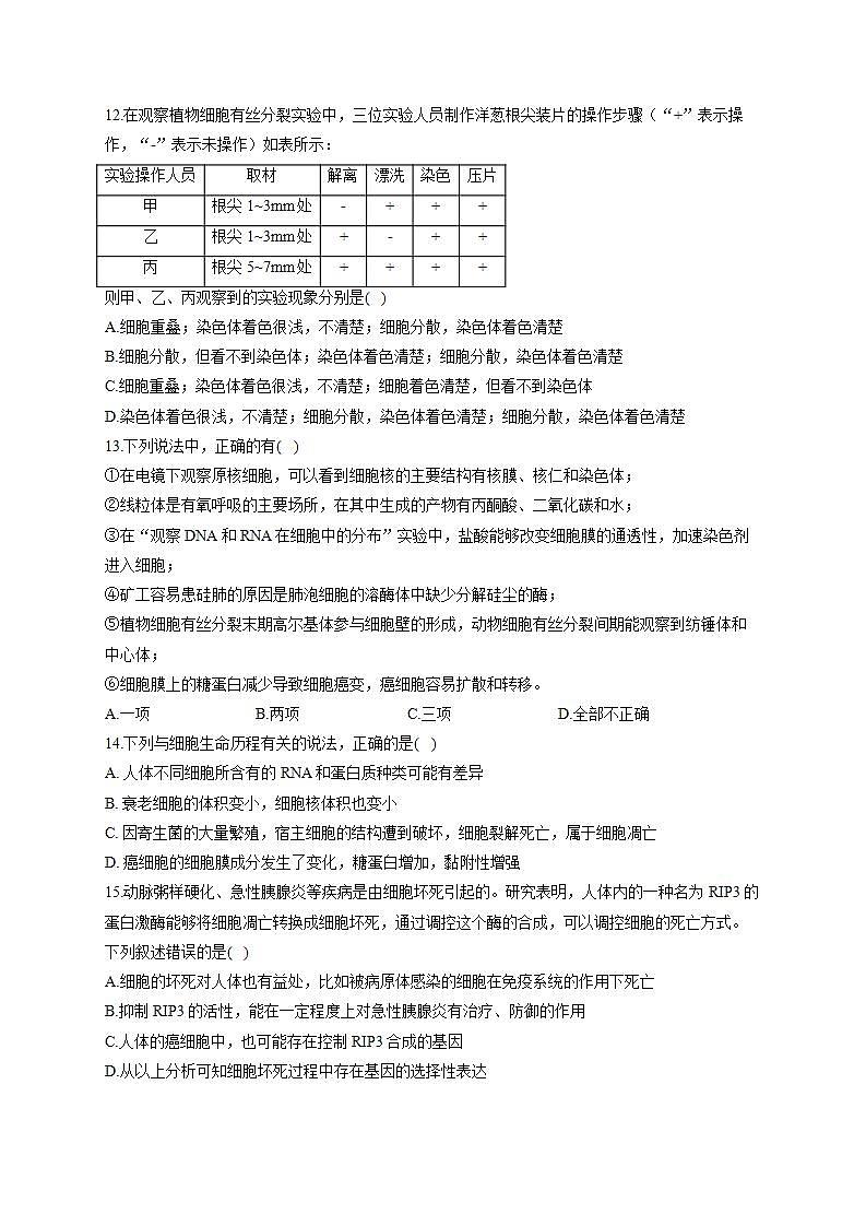 【新教材】2022届高考生物一轮复习同步检测：第四单元 细胞的生命历程 单元检测题 能力提升B卷第3页