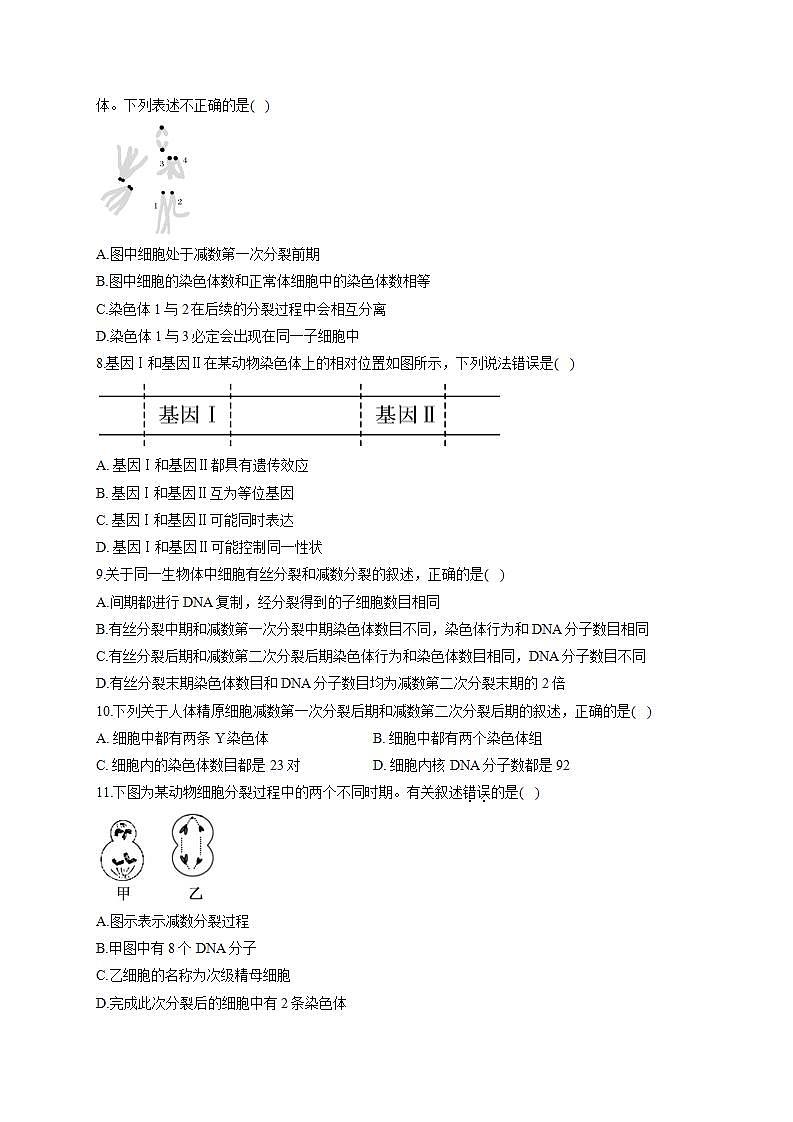 【新教材】2022届高考生物一轮复习同步检测：第四单元 细胞的生命历程 第12讲 减数分裂和受精作用 第1课时 基础训练B卷第2页