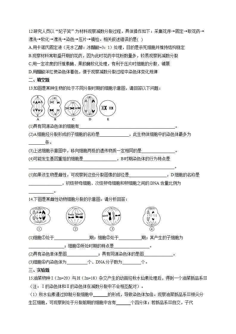 【新教材】2022届高考生物一轮复习同步检测：第四单元 细胞的生命历程 第12讲 减数分裂和受精作用 第1课时 基础训练B卷第3页