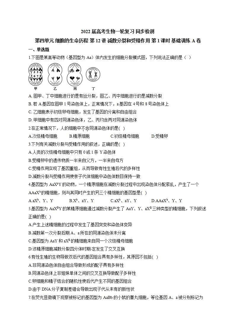 【新教材】2022届高考生物一轮复习同步检测：第四单元 细胞的生命历程 第12讲 减数分裂和受精作用 第1课时 基础训练A卷第1页