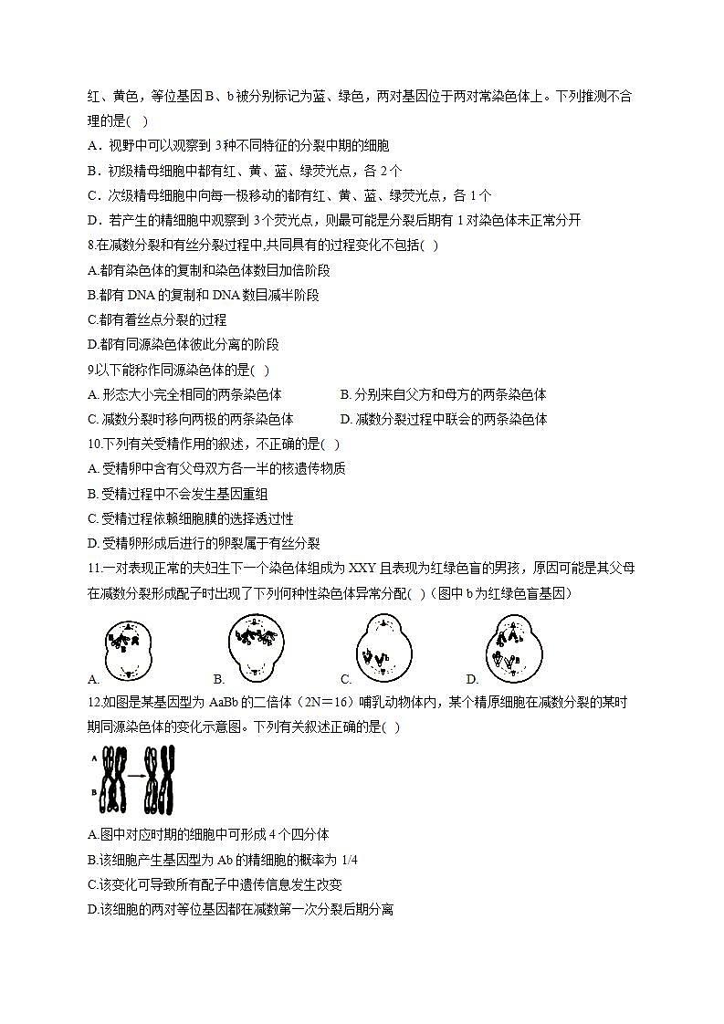 【新教材】2022届高考生物一轮复习同步检测：第四单元 细胞的生命历程 第12讲 减数分裂和受精作用 第1课时 基础训练A卷第2页