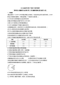 【新教材】2022届高考生物一轮复习同步检测：第四单元 细胞的生命历程 第11讲 细胞的增殖 能力提升B卷