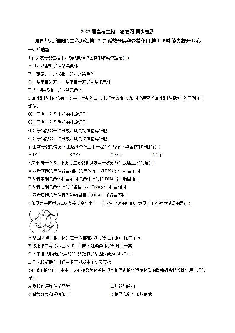 【新教材】2022届高考生物一轮复习同步检测：第四单元 细胞的生命历程 第12讲 减数分裂和受精作用 第1课时 能力提升B卷第1页
