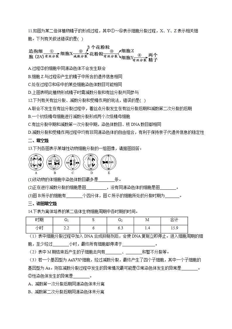 【新教材】2022届高考生物一轮复习同步检测：第四单元 细胞的生命历程 第12讲 减数分裂和受精作用 第1课时 能力提升B卷第3页