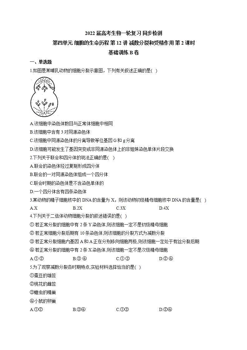 【新教材】2022届高考生物一轮复习同步检测：第四单元 细胞的生命历程 第12讲 减数分裂和受精作用 第2课时 基础训练B卷第1页