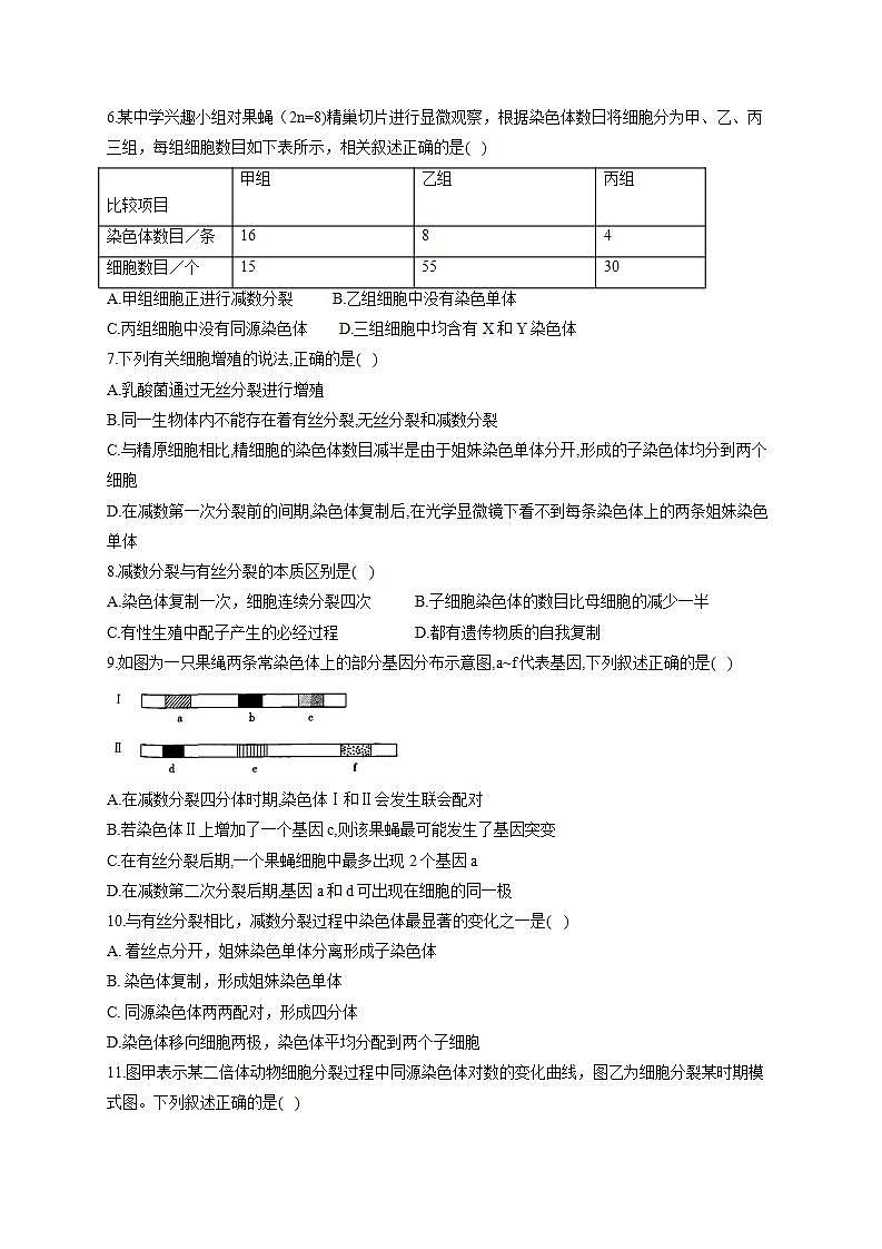 【新教材】2022届高考生物一轮复习同步检测：第四单元 细胞的生命历程 第12讲 减数分裂和受精作用 第2课时 基础训练B卷第2页