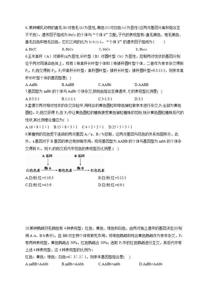 【新教材】2022届高考生物一轮复习同步检测：第五单元 遗传的基本规律 第15讲 第2课时 自由组合定律常规解题方法 能力提升B卷第2页