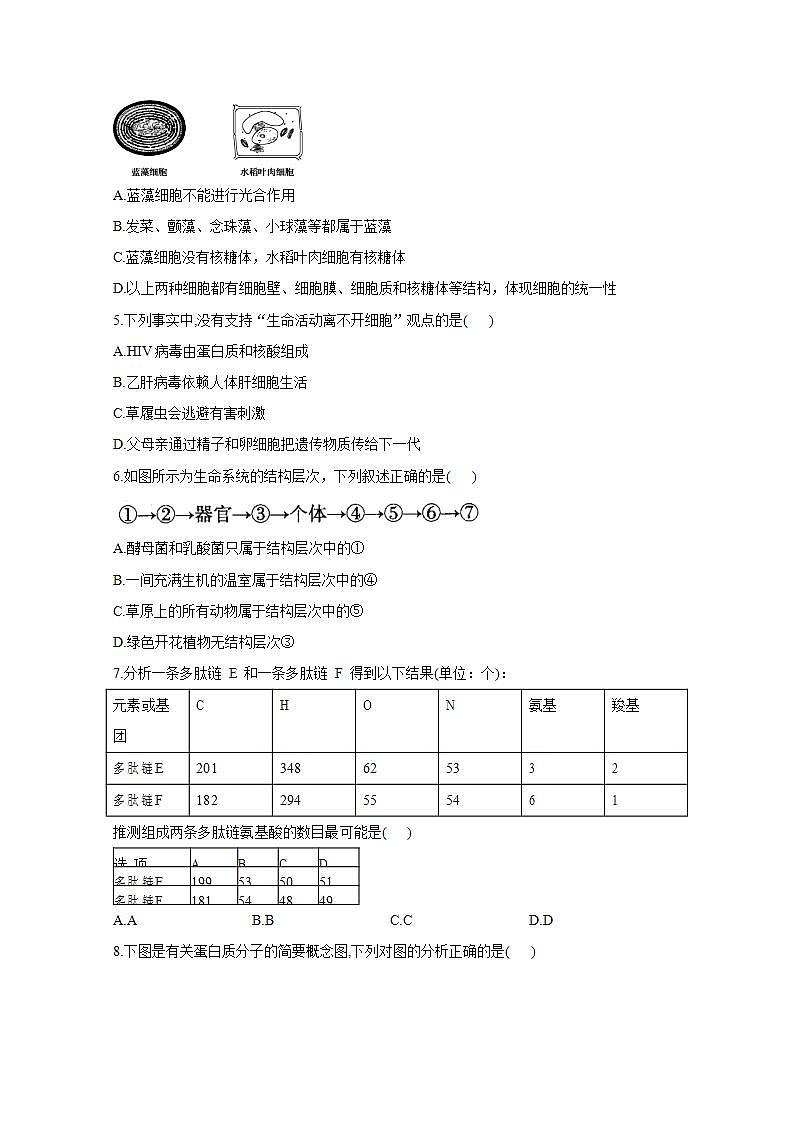 【新教材】2022届高考生物一轮复习同步检测：第一单元 细胞的概述及分子组成 单元检测题 基础训练A卷第2页