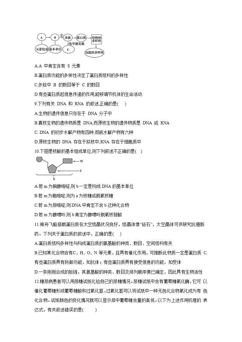 【新教材】2022届高考生物一轮复习同步检测：第一单元 细胞的概述及分子组成 单元检测题 基础训练A卷第3页