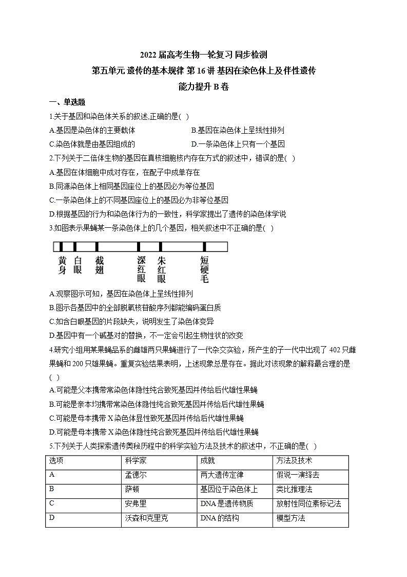【新教材】2022届高考生物一轮复习同步检测：第五单元 遗传的基本规律 第16讲 基因在染色体上及伴性遗传 能力提升B卷第1页