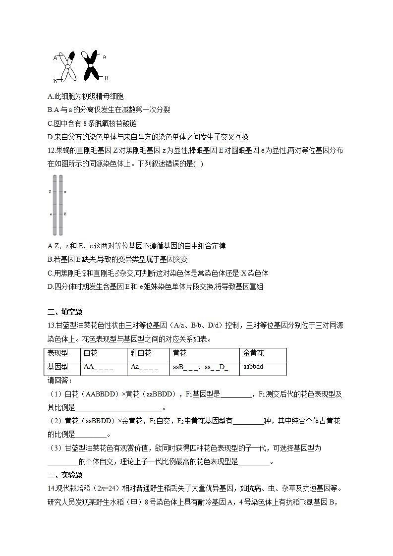 【新教材】2022届高考生物一轮复习同步检测：第五单元 遗传的基本规律 第15讲 第2课时 自由组合定律常规解题方法 能力提升A卷第3页