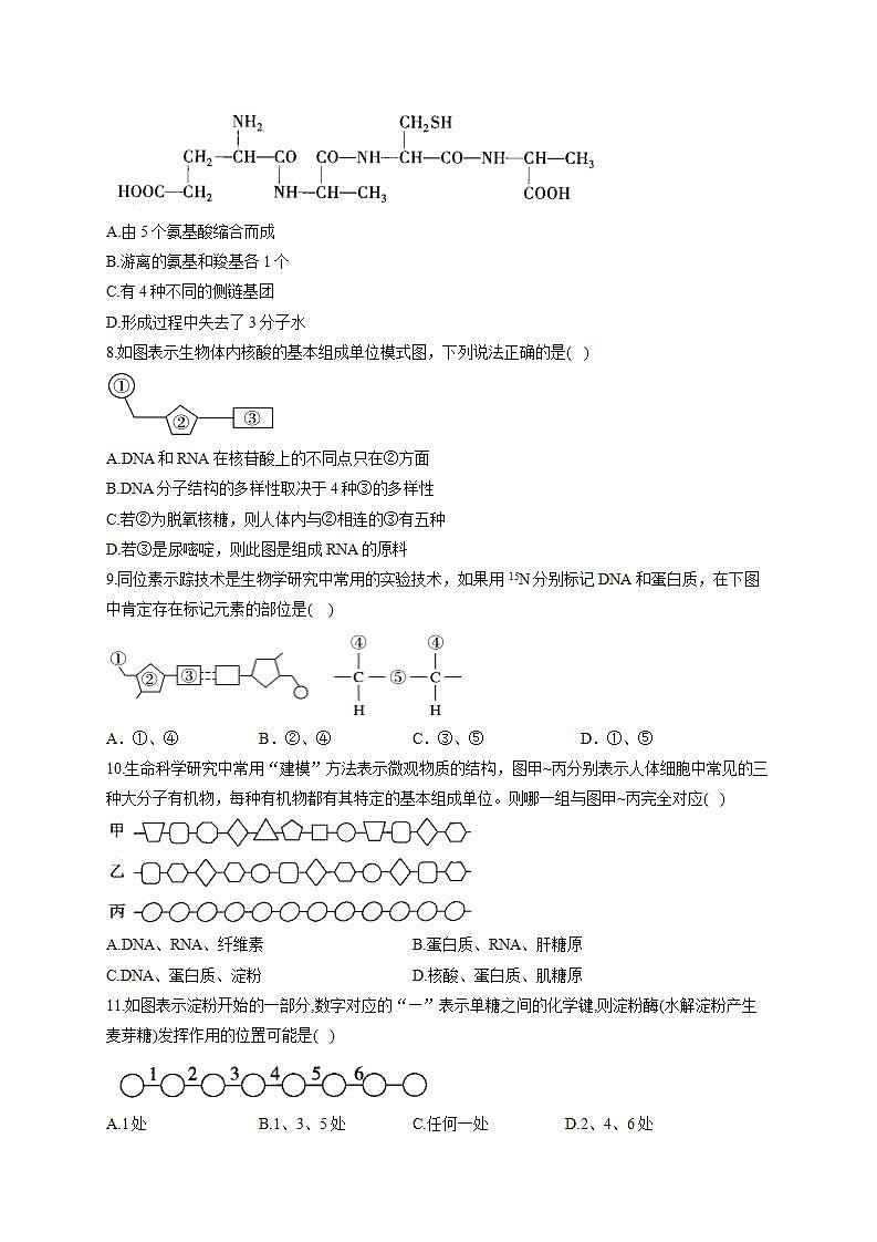 【新教材】2022届高考生物一轮复习同步检测：第一单元 细胞的概述及分子组成 第03讲 蛋白质和核酸 基础训练A卷第2页