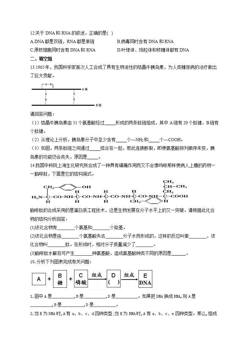 【新教材】2022届高考生物一轮复习同步检测：第一单元 细胞的概述及分子组成 第03讲 蛋白质和核酸 基础训练A卷第3页
