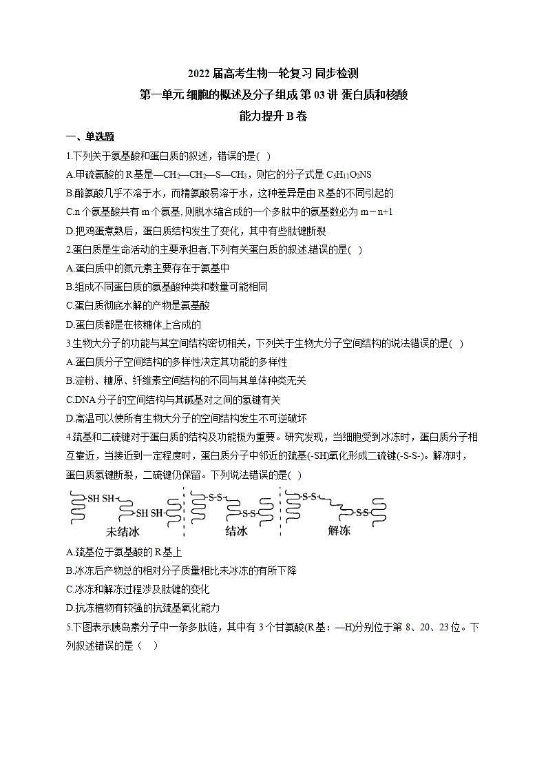 【新教材】2022届高考生物一轮复习同步检测：第一单元 细胞的概述及分子组成 第03讲 蛋白质和核酸 能力提升B卷第1页