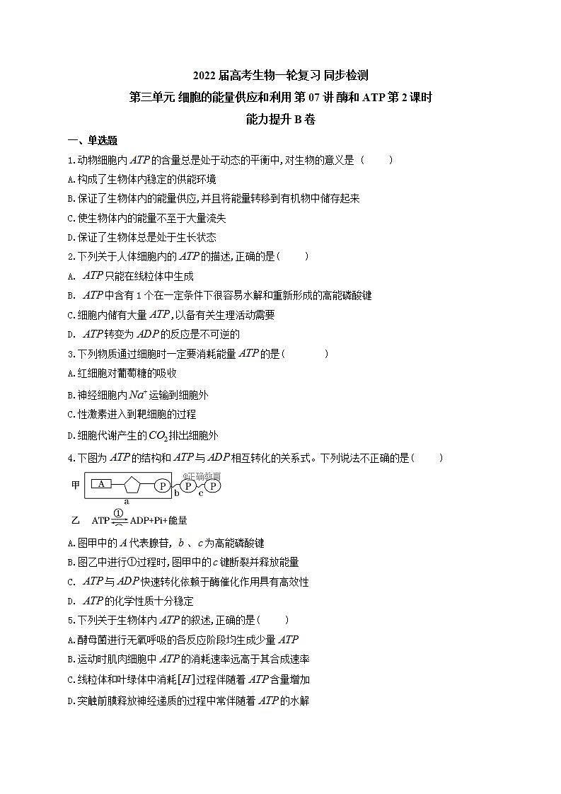 【新教材】2022届高考生物一轮复习同步检测：第三单元 细胞的能量供应和利用 第07讲 酶和ATP 第2课时 能力提升B卷第1页