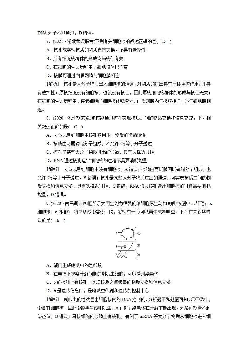 2022届高考生物（人教版）一轮总复习练习：必修1 第2单元 第2讲 细胞膜与细胞核 Word版含答案第3页