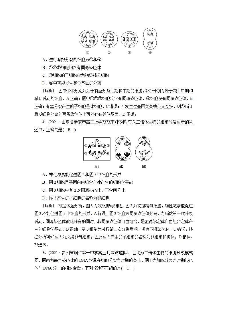 2022届高考生物（人教版）一轮总复习练习：必修1 第4单元 第2讲 减数分裂和受精作用 Word版含答案第2页