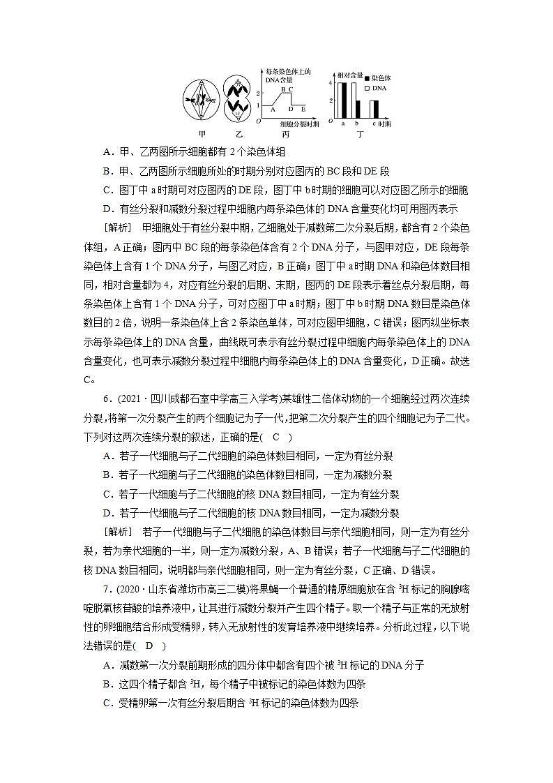 2022届高考生物（人教版）一轮总复习练习：必修1 第4单元 第2讲 减数分裂和受精作用 Word版含答案第3页