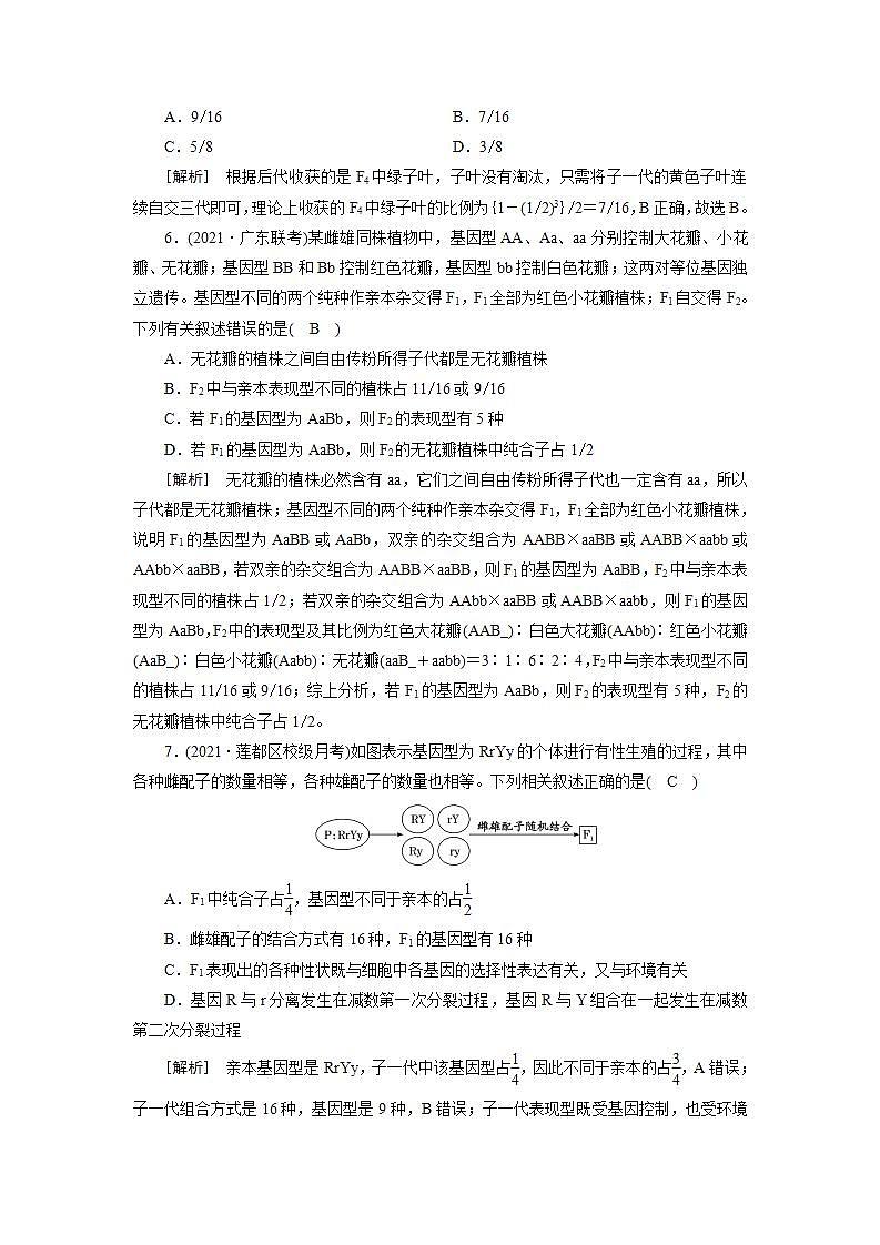 2022届高考生物（人教版）一轮总复习练习：必修2 第1单元 第2讲 孟德尔豌豆杂交实验（二） Word版含答案第3页