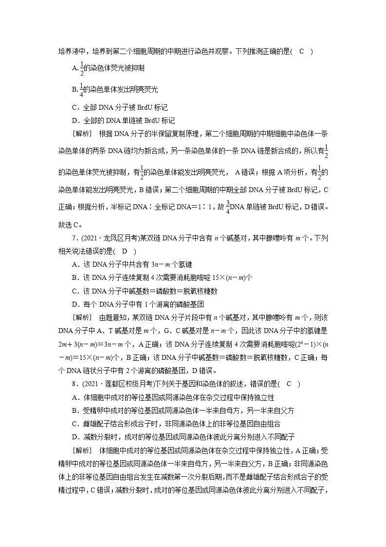 2022届高考生物（人教版）一轮总复习练习：必修2 第2单元 第2讲 DNA分子的结构、复制及基因的本质 Word版含答案第3页