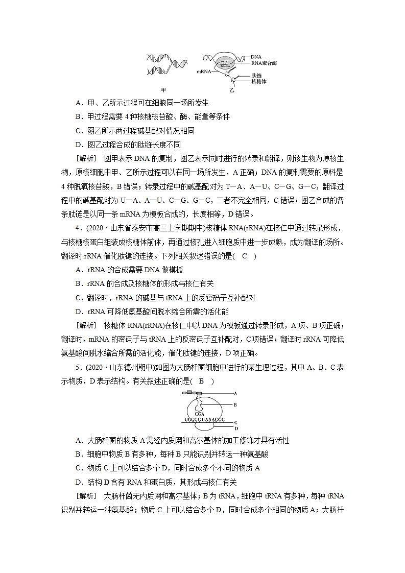 2022届高考生物（人教版）一轮总复习练习：必修2 第2单元 第3讲 基因的表达 Word版含答案02